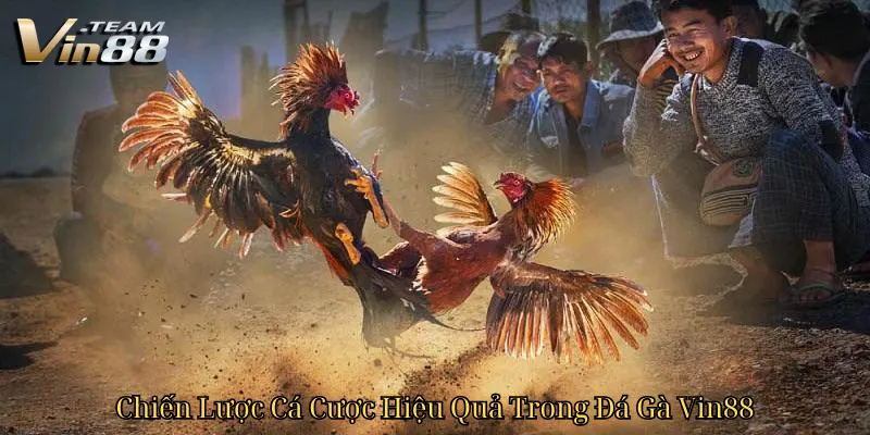 Chiến Lược Cá Cược Hiệu Quả Trong Đá Gà Vin88 Chiến Lược Cá Cược Hiệu Quả Trong Đá Gà Vin88