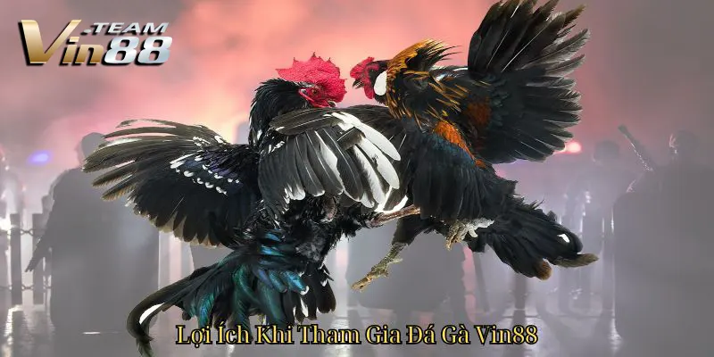 Lợi Ích Khi Tham Gia Đá Gà Vin88 Lợi Ích Khi Tham Gia Đá Gà Vin88